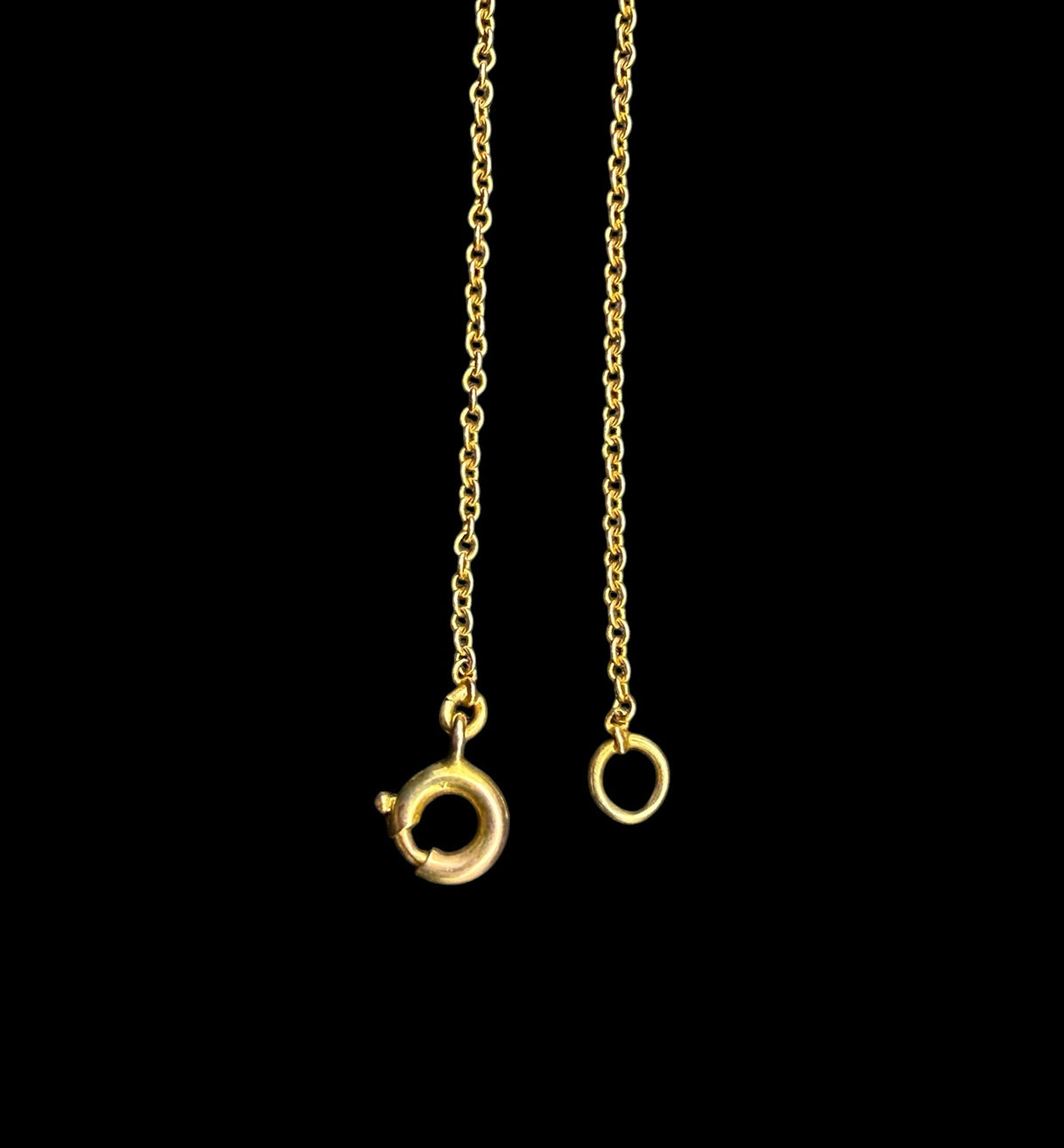 Spider's Prey Necklace